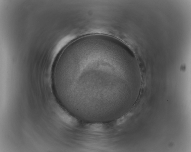 X0000092110104200709191336