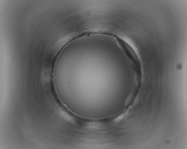 X0000092110105200709191336