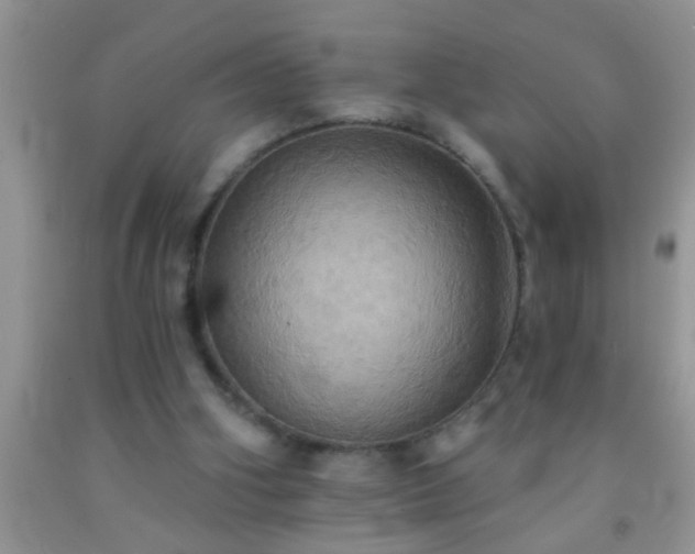 X0000092110106200709191336