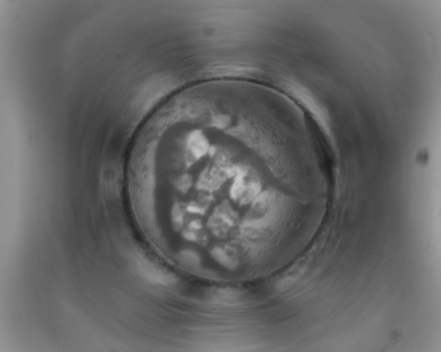 X0000092110107200709191336