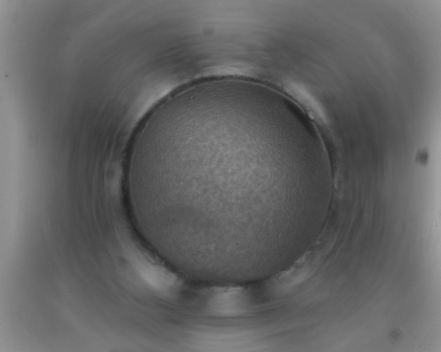 X0000092110108200709191336