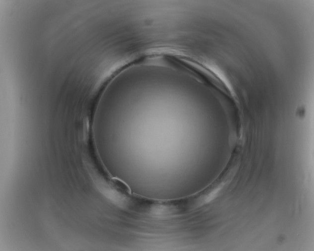 X0000092110109200709191336