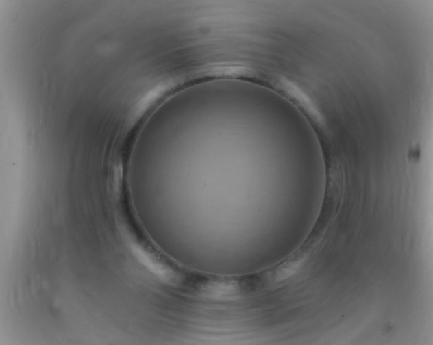 X0000092110110200709191336