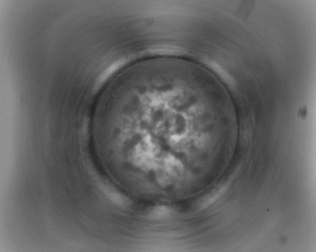 X0000092110111200709191336