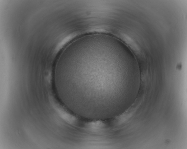 X0000092110112200709191336