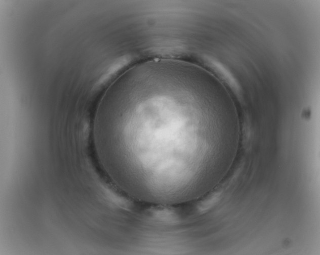 X0000092110113200709191336