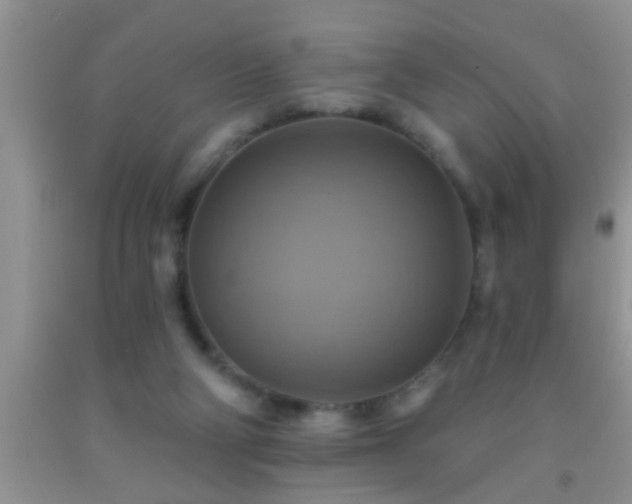 X0000092110114200709191336