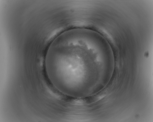 X0000092110115200709191336