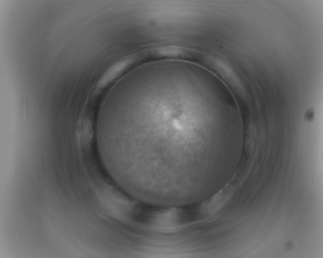 X0000092110116200709191336