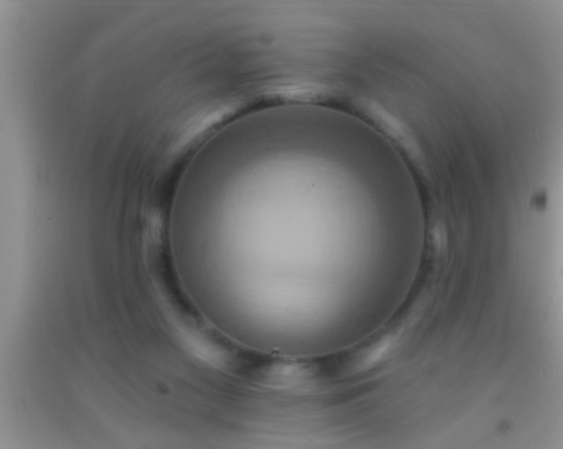 X0000092110117200709191336