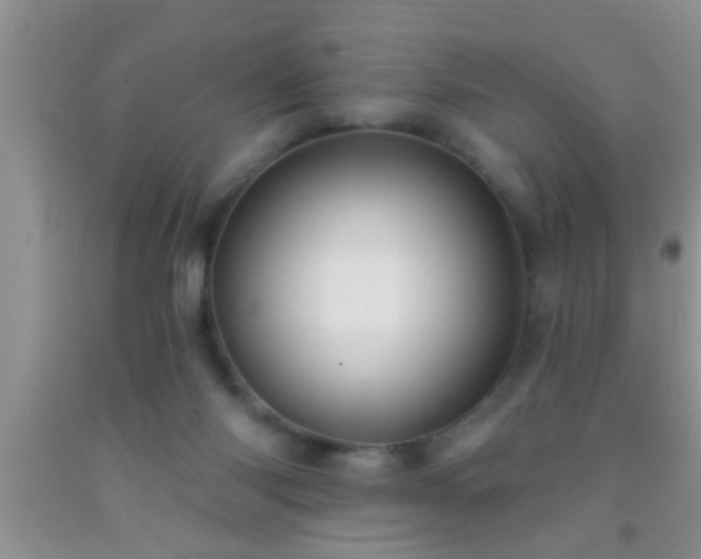 X0000092110118200709191336