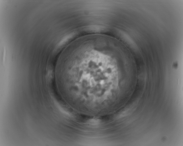 X0000092110119200709191336