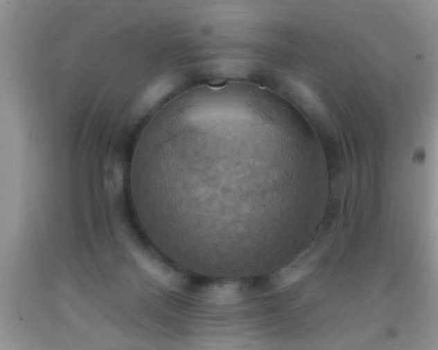 X0000092110120200709191336