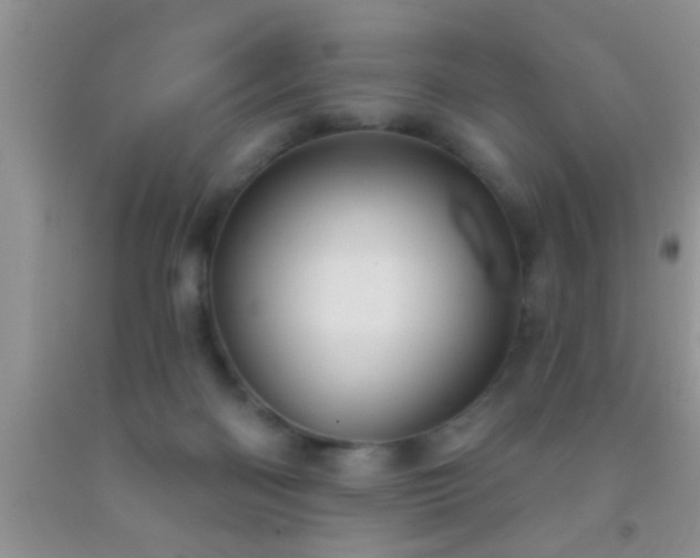 X0000092110122200709191336