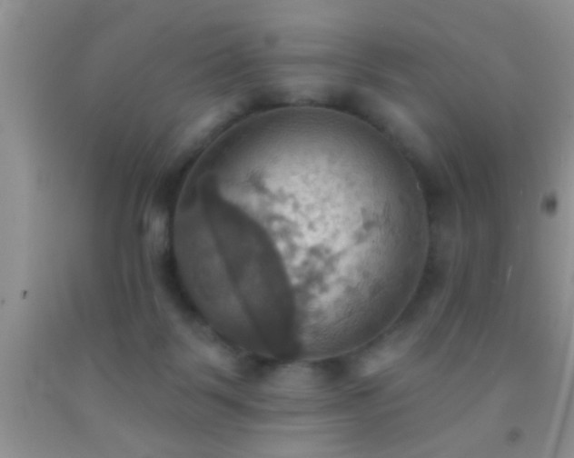 X0000092110123200709191336