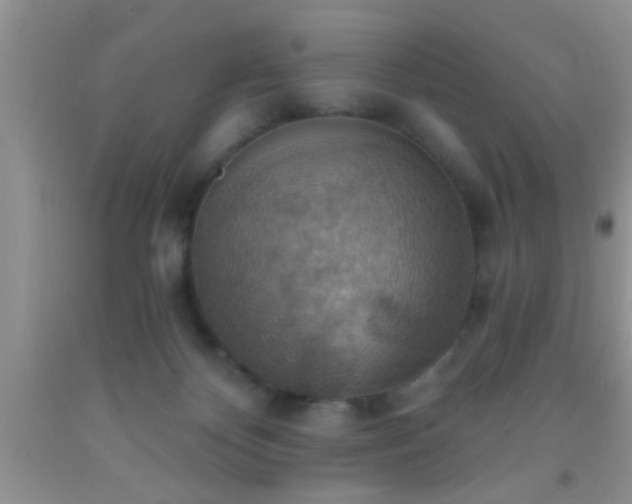 X0000092110124200709191336