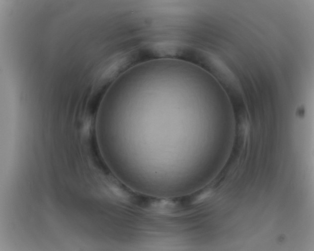 X0000092110125200709191336