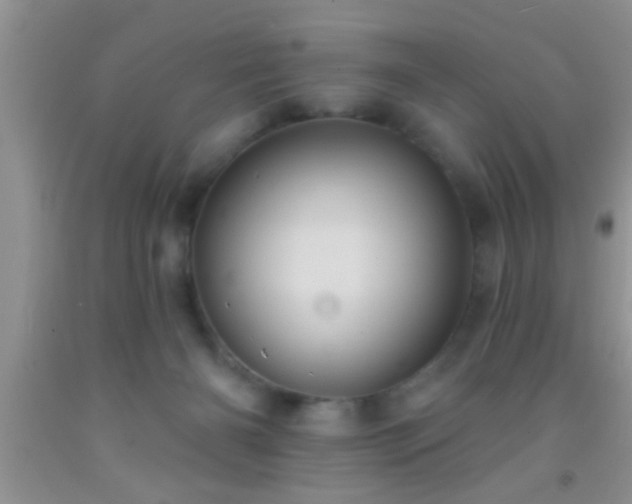 X0000092110126200709191336