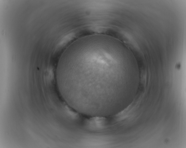 X0000092110128200709191336