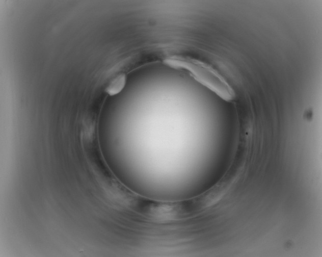 X0000092110129200709191336