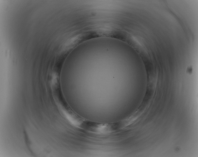 X0000092110130200709191336