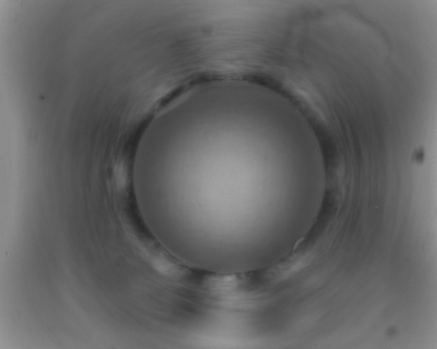 X0000092110131200709191336