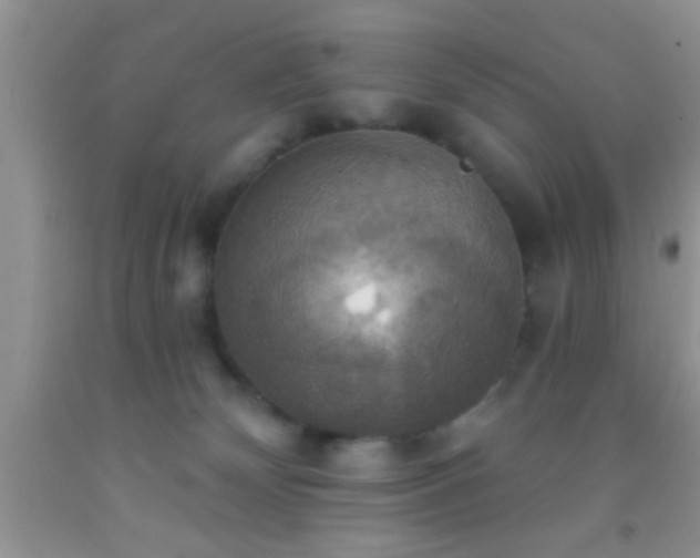 X0000092110132200709191336