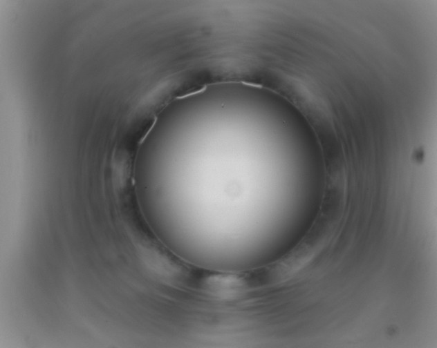 X0000092110133200709191336