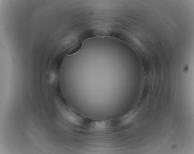 X0000092110134200709191336