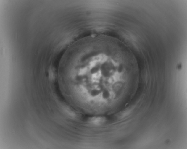 X0000092110135200709191336