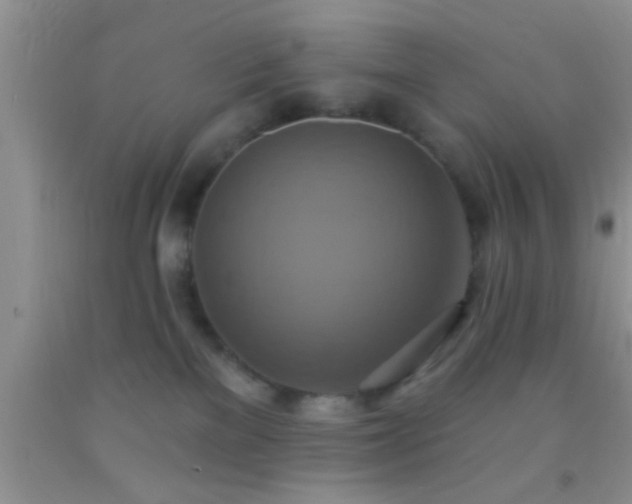 X0000092110137200709191336