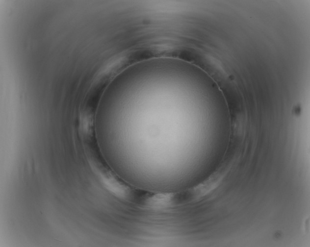 X0000092110138200709191336