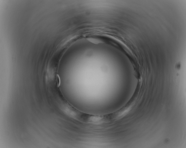 X0000092110139200709191336