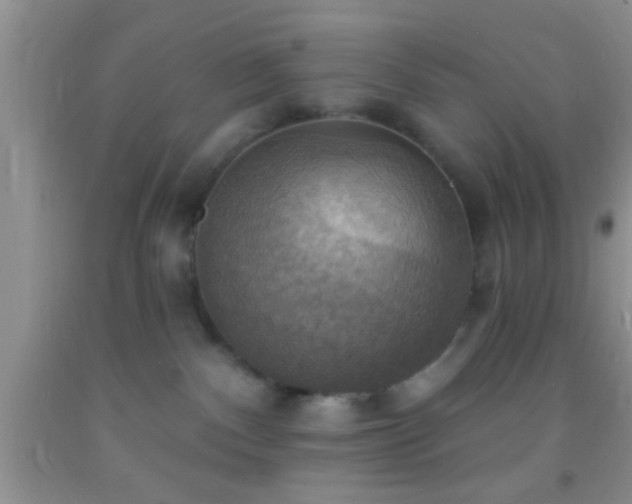 X0000092110140200709191336