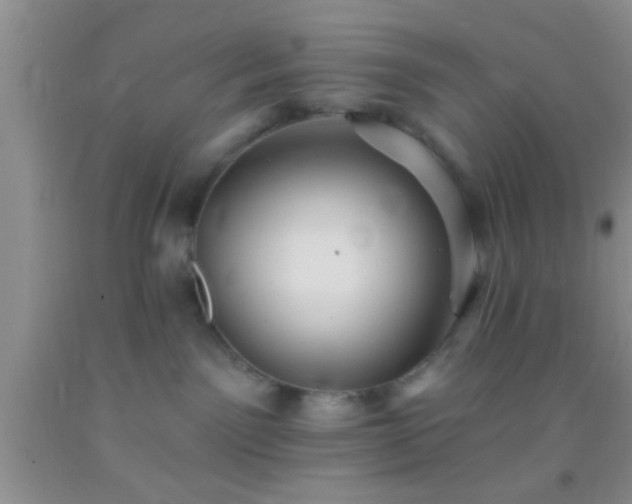 X0000092110141200709191336