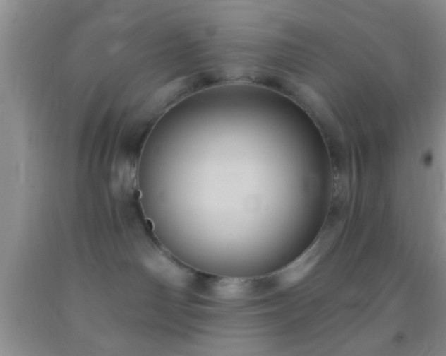 X0000092110142200709191336