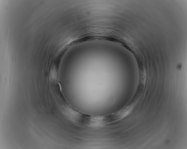 X0000092110143200709191336