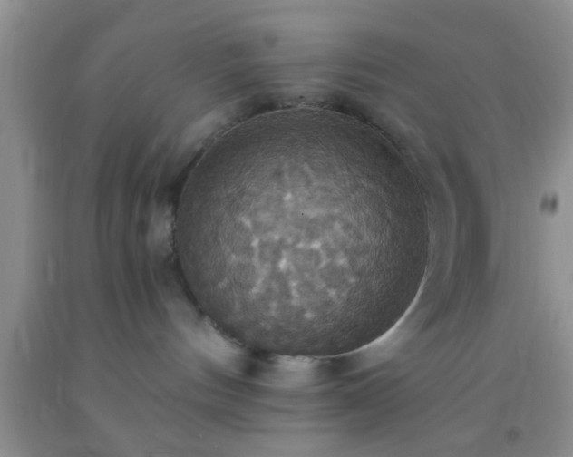 X0000092110144200709191336