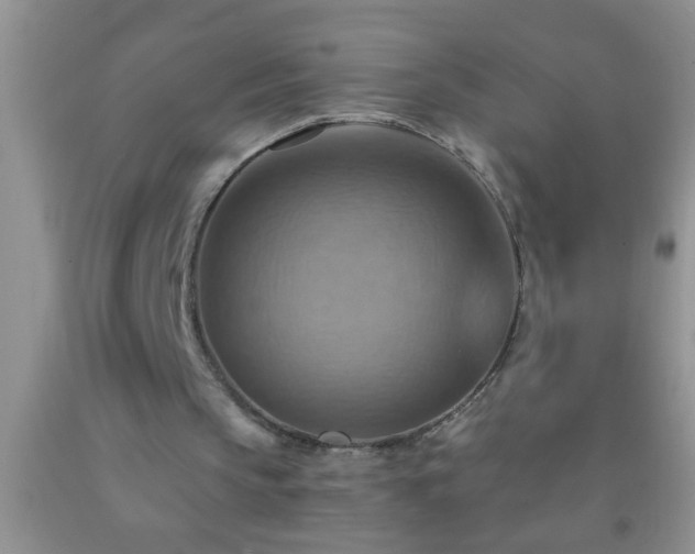 X0000092110145200709191335