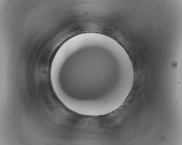 X0000092110146200709191335