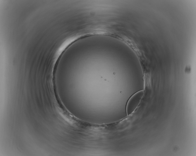 X0000092110147200709191335