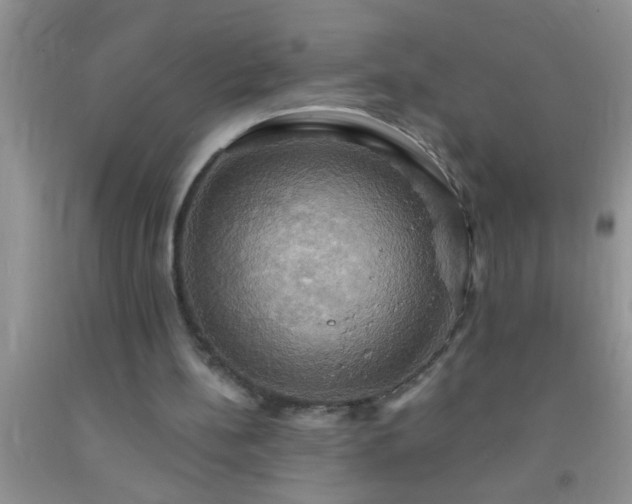 X0000092110148200709191335