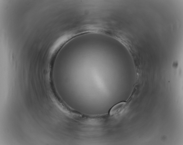 X0000092110149200709191335