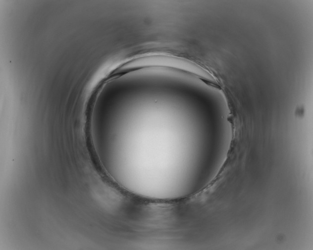 X0000092110150200709191335