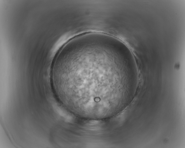 X0000092110151200709191335