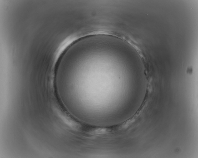 X0000092110152200709191335