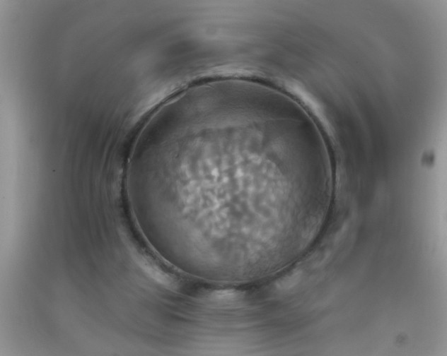 X0000092110153200709191335