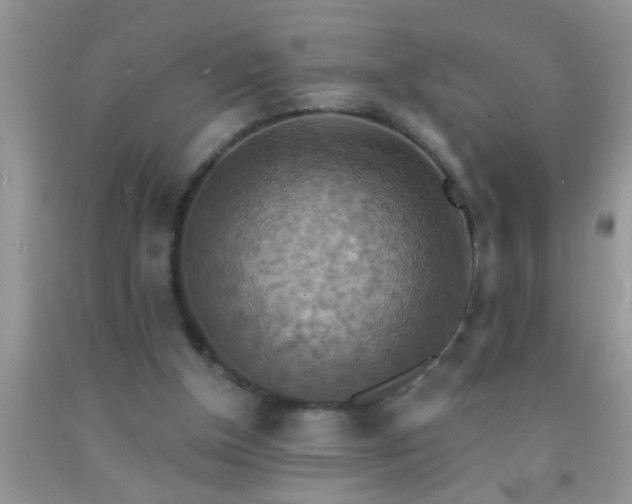 X0000092110154200709191335