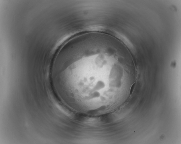 X0000092110155200709191335