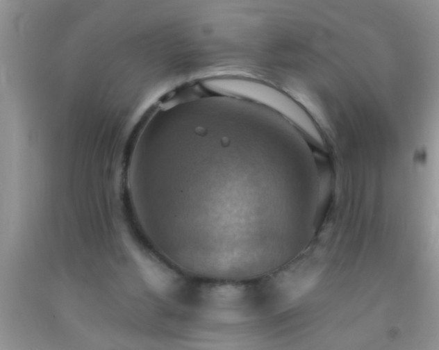 X0000092110156200709191335